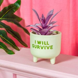 I Will Survive Planter
